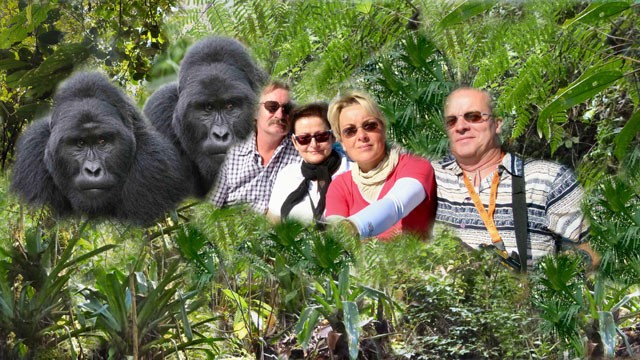 Gorilla-Tracking 2013